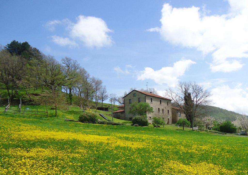 Agriturismo I Monti Di Salecchio Palazzuolo Sul Senio Exterior foto